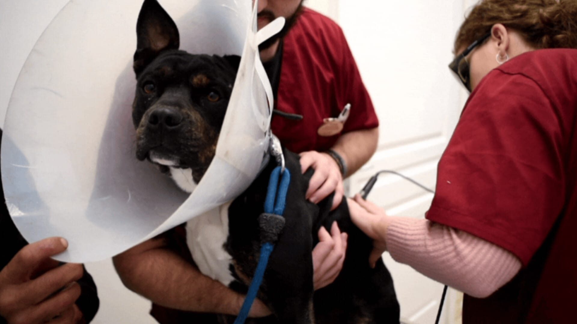 IMG-20240221-WA0014 IMG-20240221-WA0014