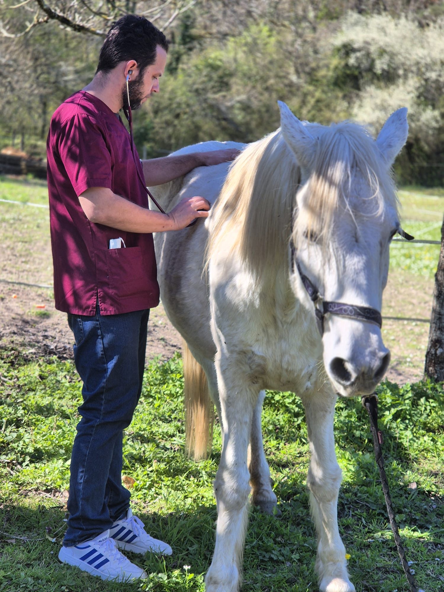 IMG-20250716-WA0027 IMG-20250716-WA0027